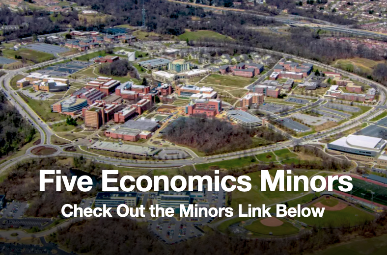 Minors in Economics, Finance, Mathematical & Quantitative, Global & Economic Policy